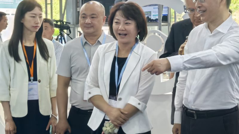 变速箱配件定制：价格构成与影响因素解析**